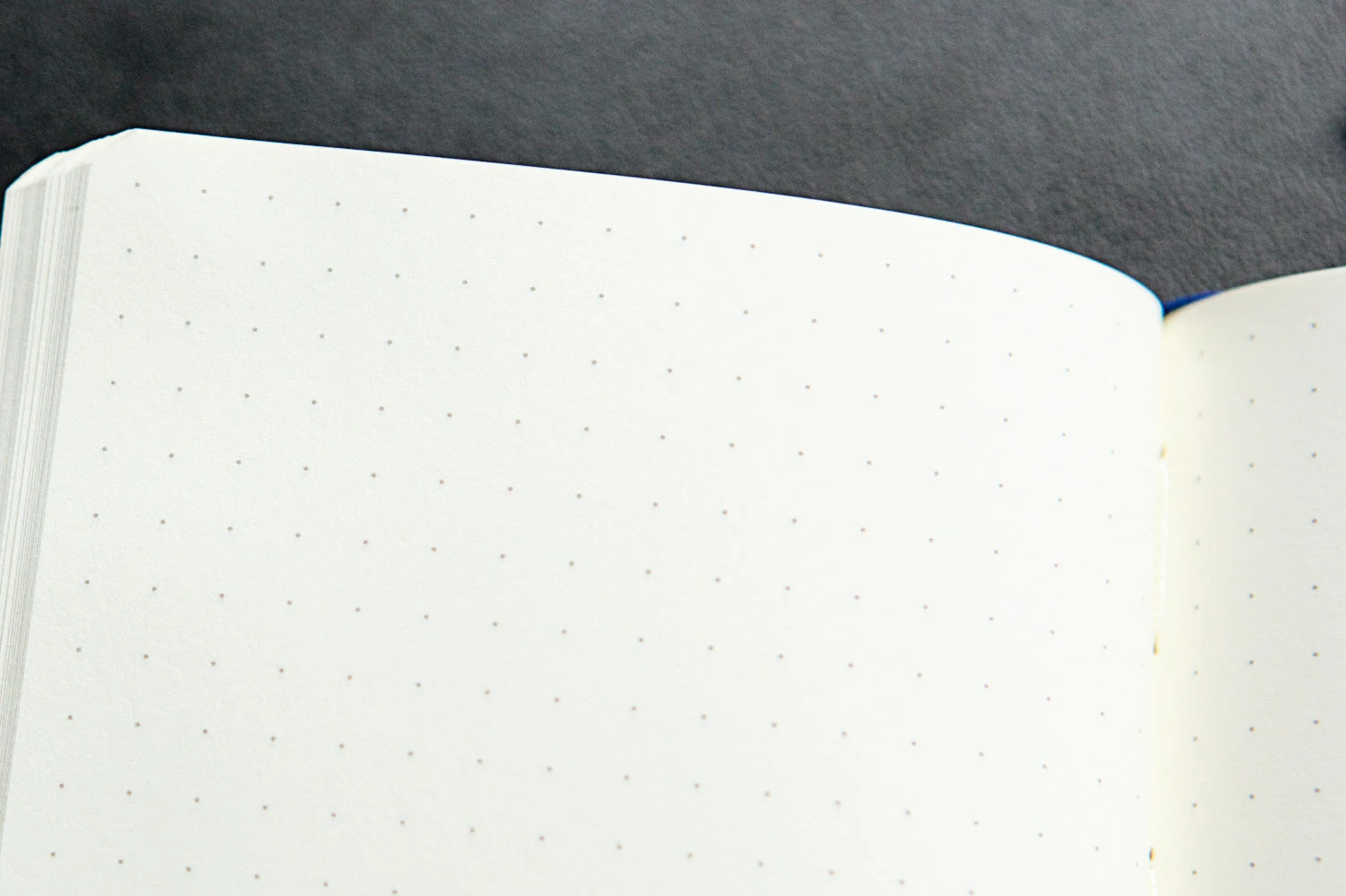 Leuchtturm1917 Medium A5 Notebook - Pacific Green, Dot Grid 5 Leuchtturm1917 Medium A5 Notebook - Pacific Green, Dot Grid - Image 3