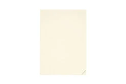 Midori MD Notebook Journal A5 Codex - Dot Grid