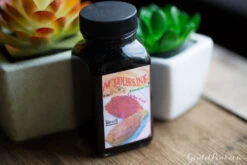 Noodler's Cactus Fruit Eel - 3oz Bottled Ink -Office Supplies Sale MondayMatchup Week33 11