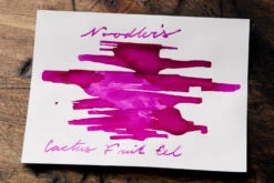Noodler's Cactus Fruit Eel - 3oz Bottled Ink -Office Supplies Sale Noodlers CactusFruitEel InkReview 4