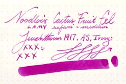 Noodler's Cactus Fruit Eel - 3oz Bottled Ink -Office Supplies Sale Noodlers CactusFruitEel InkReview Leuchtturm1917 1