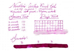 Noodler's Cactus Fruit Eel - 3oz Bottled Ink -Office Supplies Sale Noodlers CactusFruitEel InkReview Rhodia 80g 1