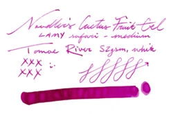 Noodler's Cactus Fruit Eel - 3oz Bottled Ink -Office Supplies Sale Noodlers CactusFruitEel InkReview TomoeRiver 52g 1