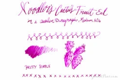 Noodler's Cactus Fruit Eel - 3oz Bottled Ink -Office Supplies Sale Noodlers CactusFruitEel 201 cff8a34f b3b7 48b9 a527 50e34823912e
