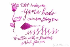 Pilot Iroshizuku Yama-budo - 50ml Bottled Ink -Office Supplies Sale Pilot Iroshizuku Yama Budo fd3c97ca 37cb 4880 9850 90315f1f7ffc