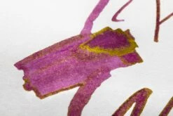 Pilot Iroshizuku Yama-budo - 50ml Bottled Ink -Office Supplies Sale Pilot Iroshizuku YamaBudo Ink 2023 5