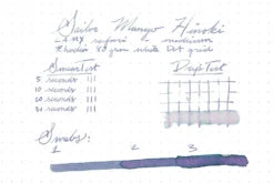 Sailor Manyo Hinoki - 50ml Bottled Ink -Office Supplies Sale Sailor Manyo Hinoki InkReview Rhodia 80g 1