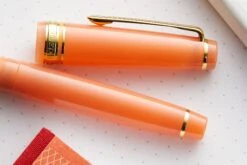 Sailor Pro Gear Slim Fountain Pen - Kiku (Limited Production) -Office Supplies Sale Sailor PGS SeasonalFestival Kiku 6